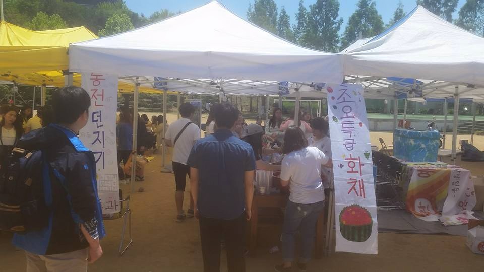 2015년 그린나이트 축제